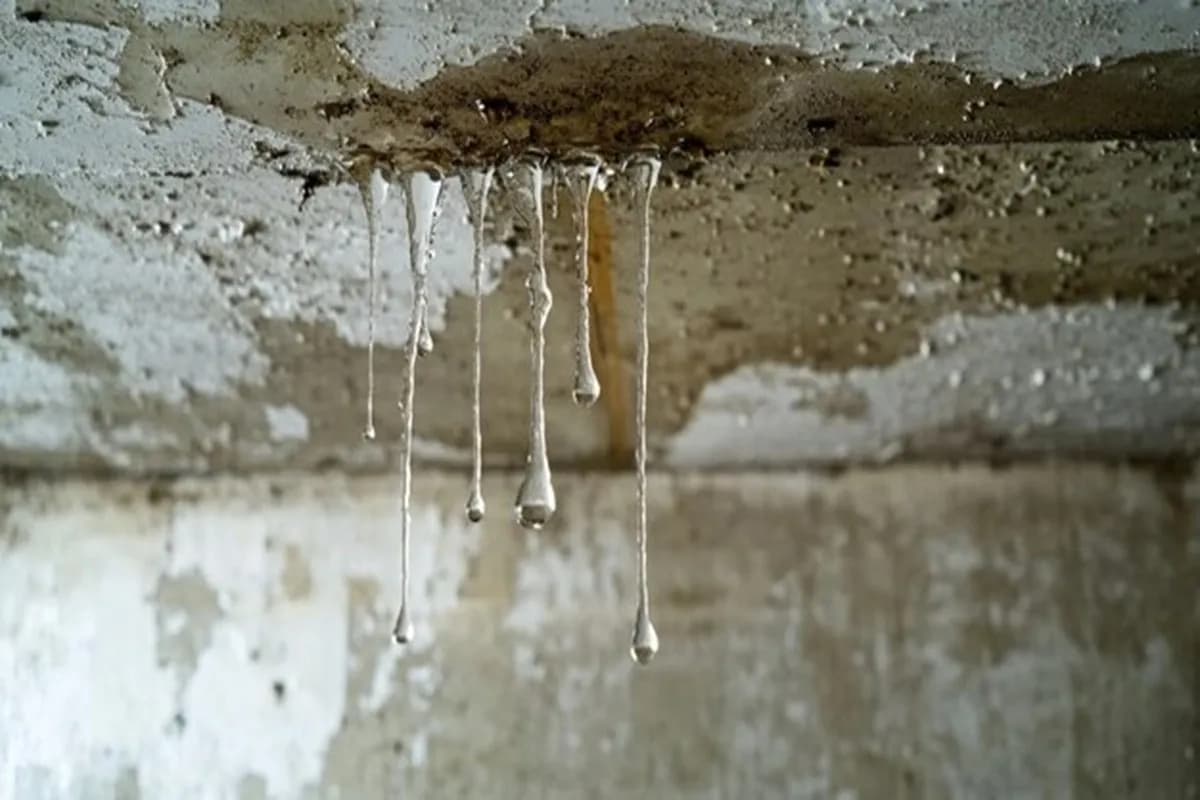 Why Quick Response Matters: The Importance of 24/7 Water Damage Restoration